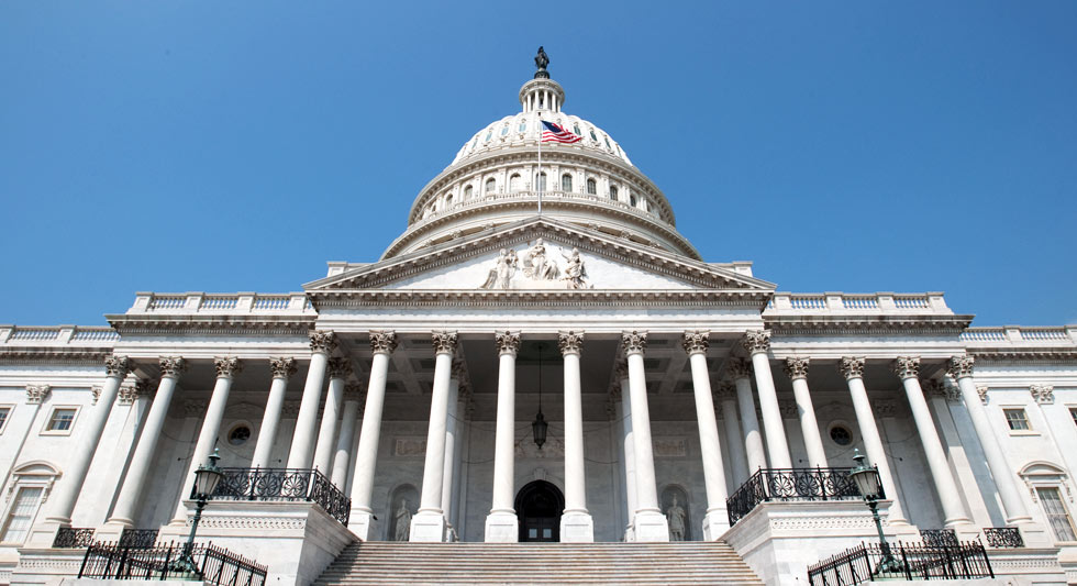 U.S. branches of government