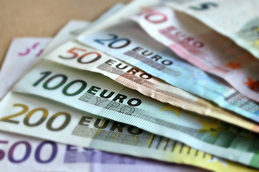 Referendum vote rejected the Euro.