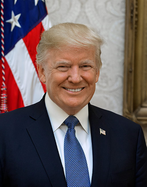 Donald Trump wins the presidential election.